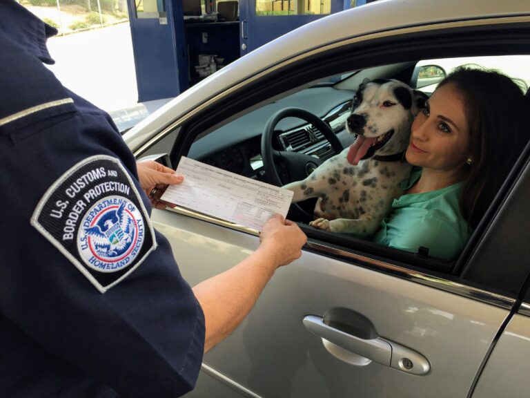 TSA procedure for traveling with pets through security