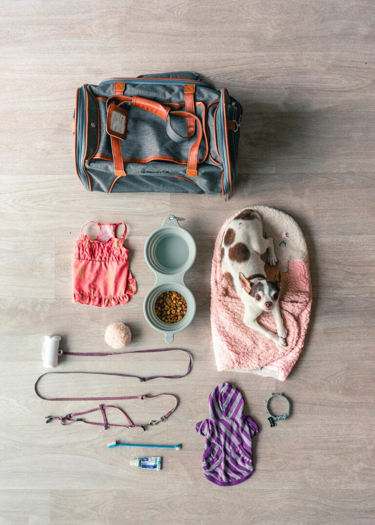 Essential Pet Packing Checklist for Traveling with Pets